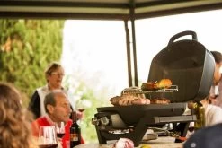Napoleon Gasbarbecue TravelQ Pro 285 Grill Propaan Zwart 74 X 47 X 38 Cm -Exporteren Napoleon Winkel 0629162119858 8