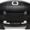 Napoleon Elektrische Barbecue TravelQ Pro285E 60 X 40 X 38 Cm