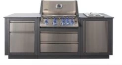 Napoleon Gasbarbecue Met Zijbrander Oasis 120 X 80 X 167 Cm