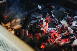 Napoleon Gietijzeren Houtskoolinzet -Exporteren Napoleon Winkel 0629162677327 5