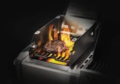 Napoleon Rotisserie 27 X 17,5 X 54 Cm -Exporteren Napoleon Winkel 0629162713018 10