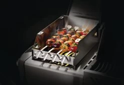 Napoleon Rotisserie 27 X 17,5 X 54 Cm -Exporteren Napoleon Winkel 0629162713018 11